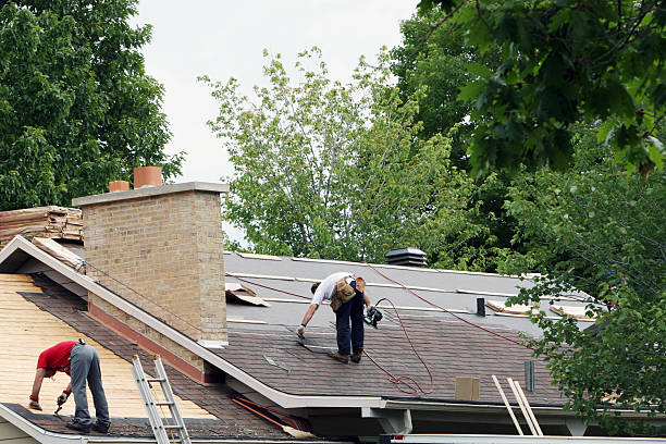 Best Roof Repair Services  in Swartz Creek, MI