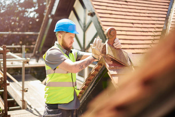 Best Roof Leak Repair  in Swartz Creek, MI