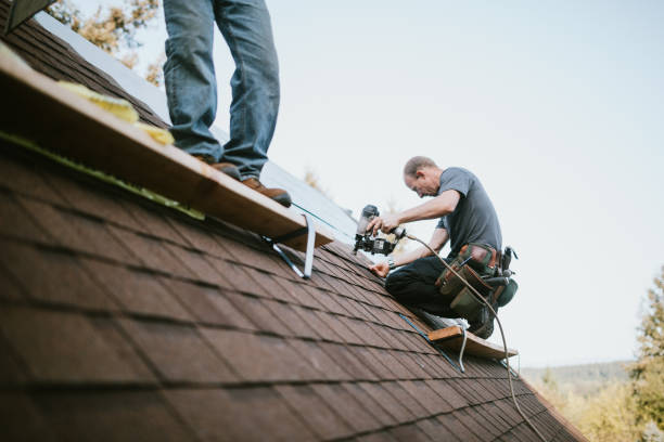 Best Roof Waterproofing Services  in Swartz Creek, MI