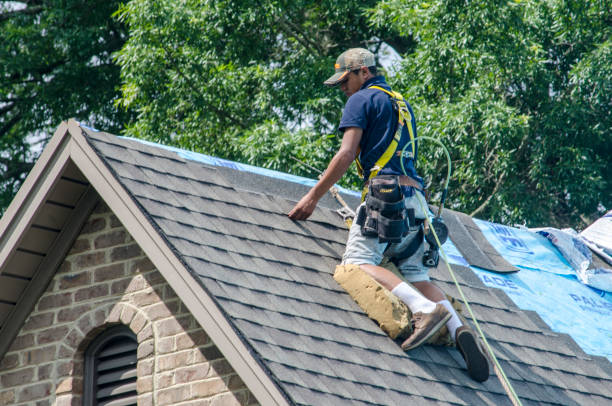 Best Local Roofing Companies  in Swartz Creek, MI